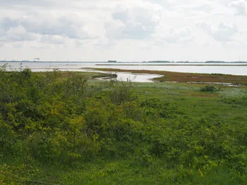 Halshuisene + Enebaerodde Beach (Denemarken)